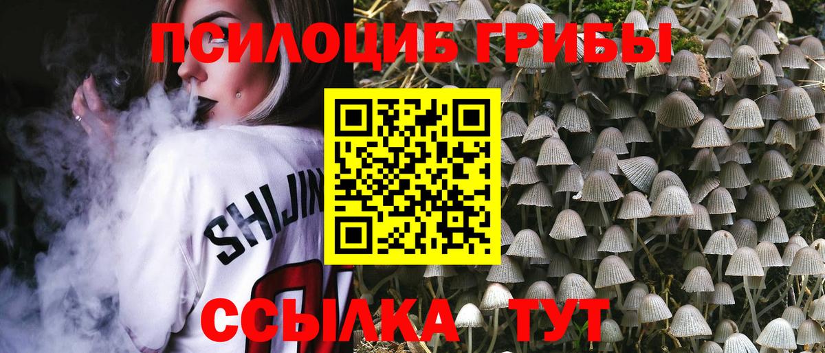 Тимашёвск  Галлюциногенные грибы Psilocybe  Вход с VPN 